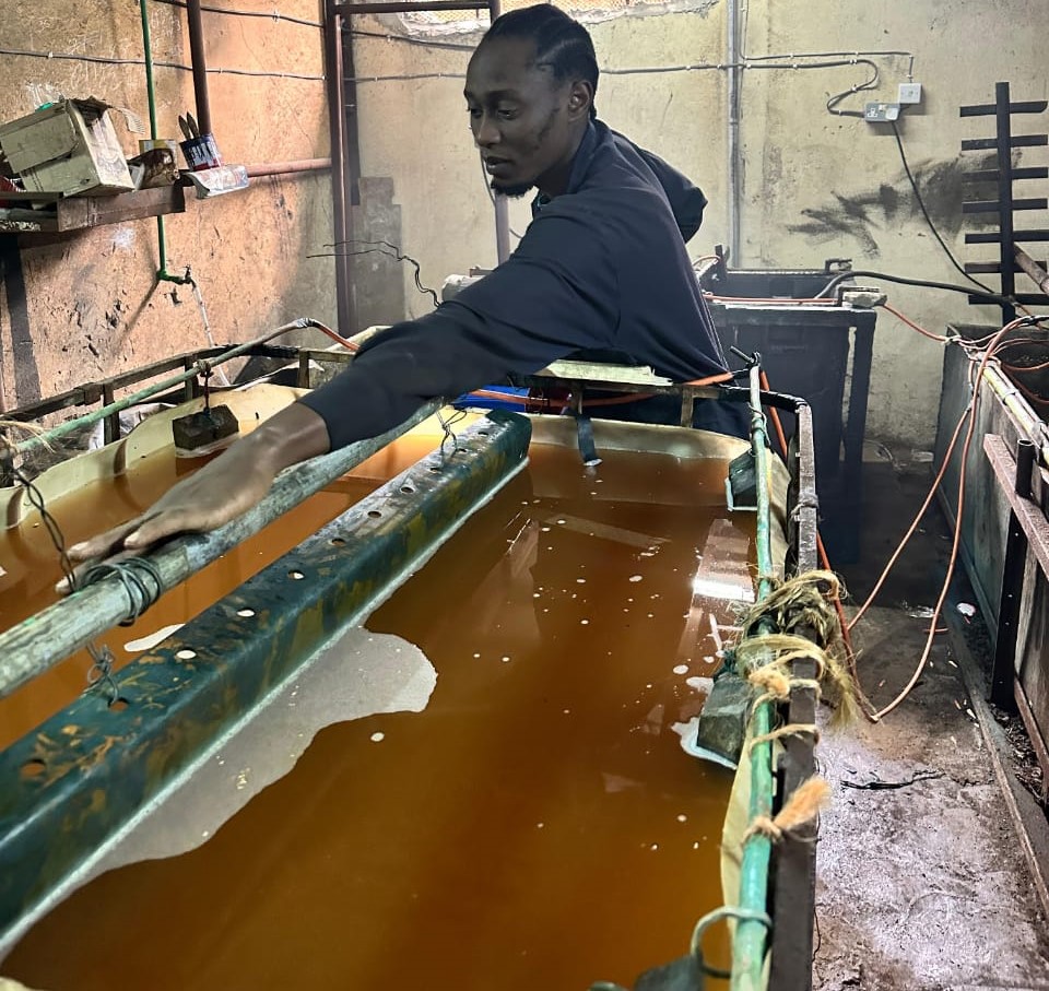 Cold Galvanizing demo